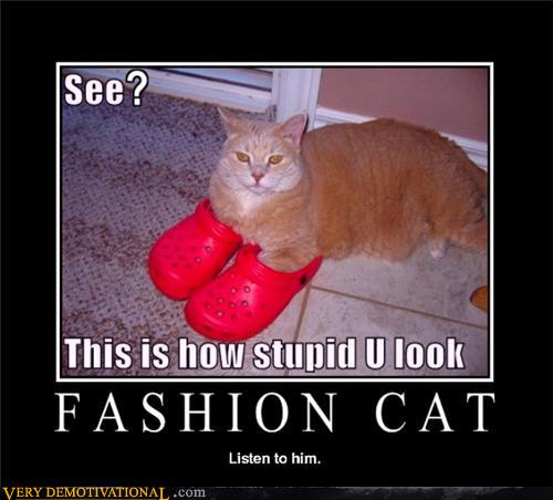 fashioncat