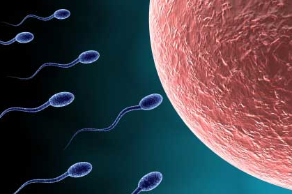 conceiving a boy