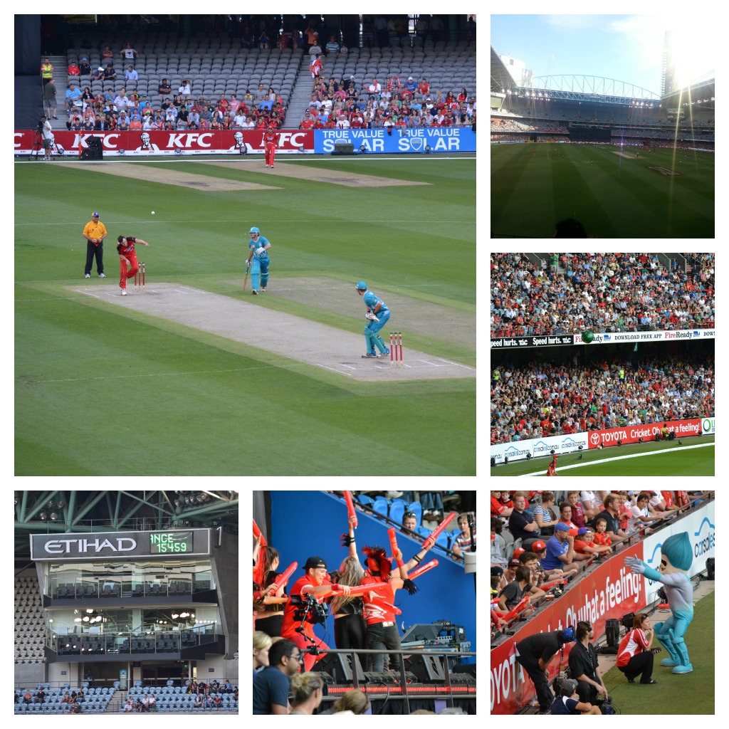 Big bash KFC T20 cricket