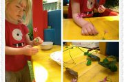 gum trees play dough