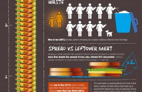MLA LunchBox infographic