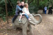 walk on wild side melbourne zoo