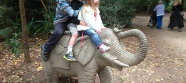 walk on wild side melbourne zoo