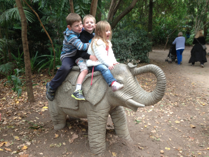 walk on wild side melbourne zoo