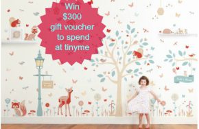 tinyme 300 gift voucher
