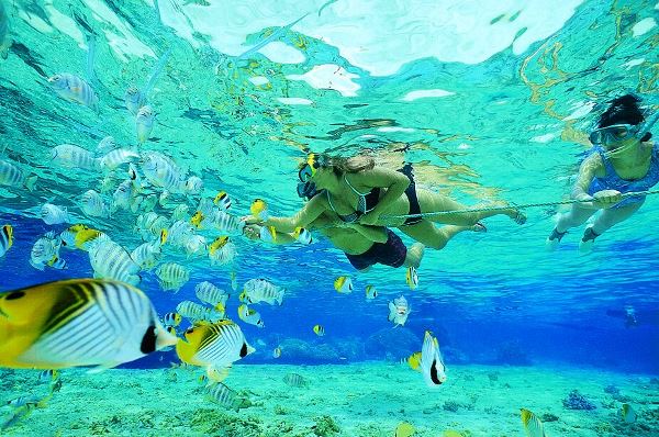 Family Snorkelling