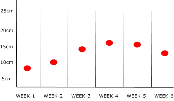 tomatoplantgraph