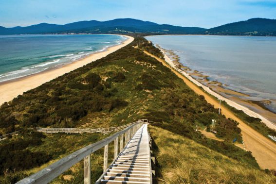 080.-The-Neck-Bruny-Island-Tourism-Tasmania-and-Scott-Sporleder.jpg 1 000584 pixels