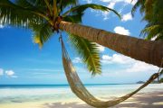 Destinations South Pacific Papeete Hammock.jpg 403264 pixels