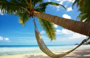 Destinations South Pacific Papeete Hammock.jpg 403264 pixels