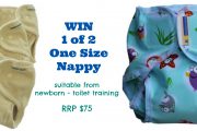 ecobums nappy one size giveaway