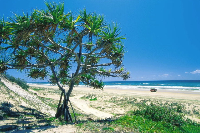 fraser island.jpg 768512 pixels