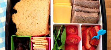 Lunch box ideas damper