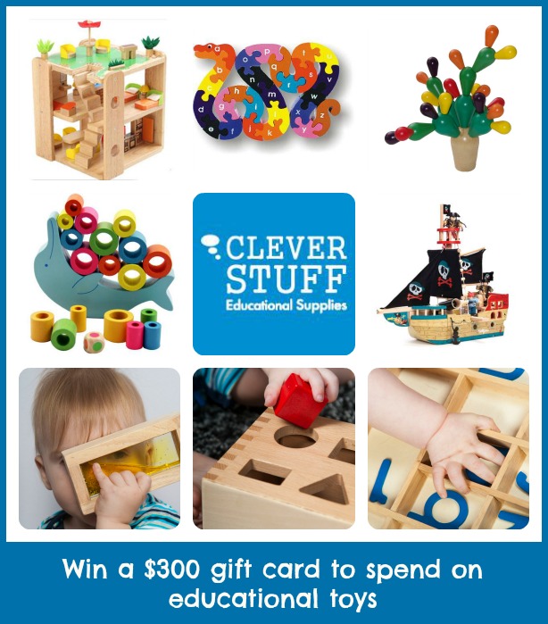 cleverstuff giveaway 300