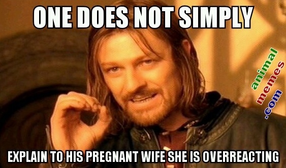 pregnancy 2 memes