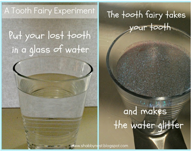 The Shabby Nest  The Great Tooth Fairy Experiment 