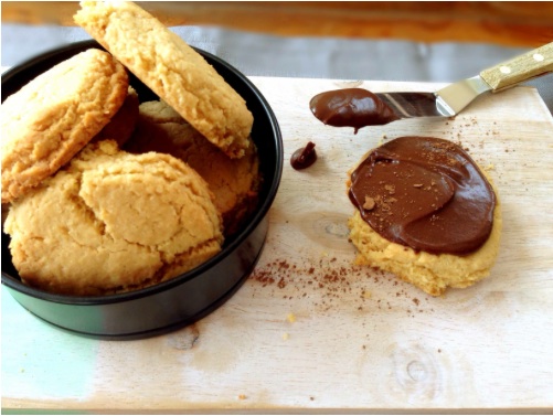 Christmas_Coconut_Cookies_with_Choc_Fudge_Icing_-_Mum_s_Lounge