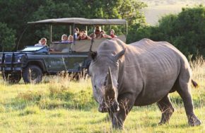 Five_Best_Family-Friendly_Places_in_South_Africa_-_Mum_s_Lounge