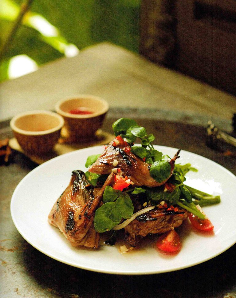 Chargrilled Hoisin Quail with Watercress & Cherry Tomato Salad - Mumslounge