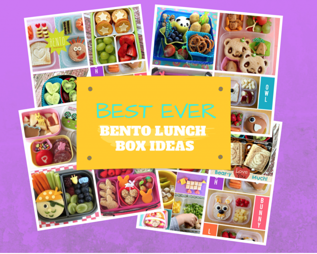 Best Ever Bento Lunch Box Ideas - Mumslounge