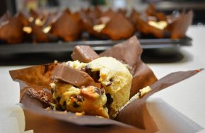 tim tam muffins