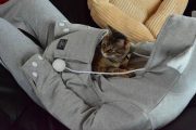 hoodie for your pet