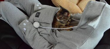 hoodie for your pet