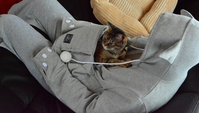 hoodie for your pet
