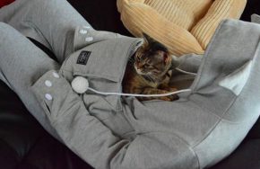 hoodie for your pet