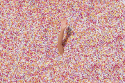 pool of sprinkles