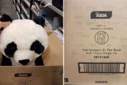 panda toy