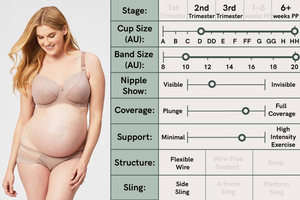 A Guide to Choosing the Perfect Maternity and Breastfeeding Bras for Your  Changing Body - Mumslounge