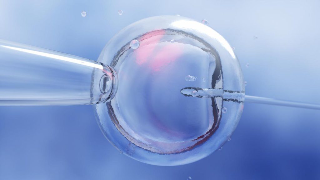 Couple Who Found Out They Were Pregnant With A Boy Instead Of A Girl couple-who-found-out-they-were-pregnant-with-a-boy-instead-of-a-girl