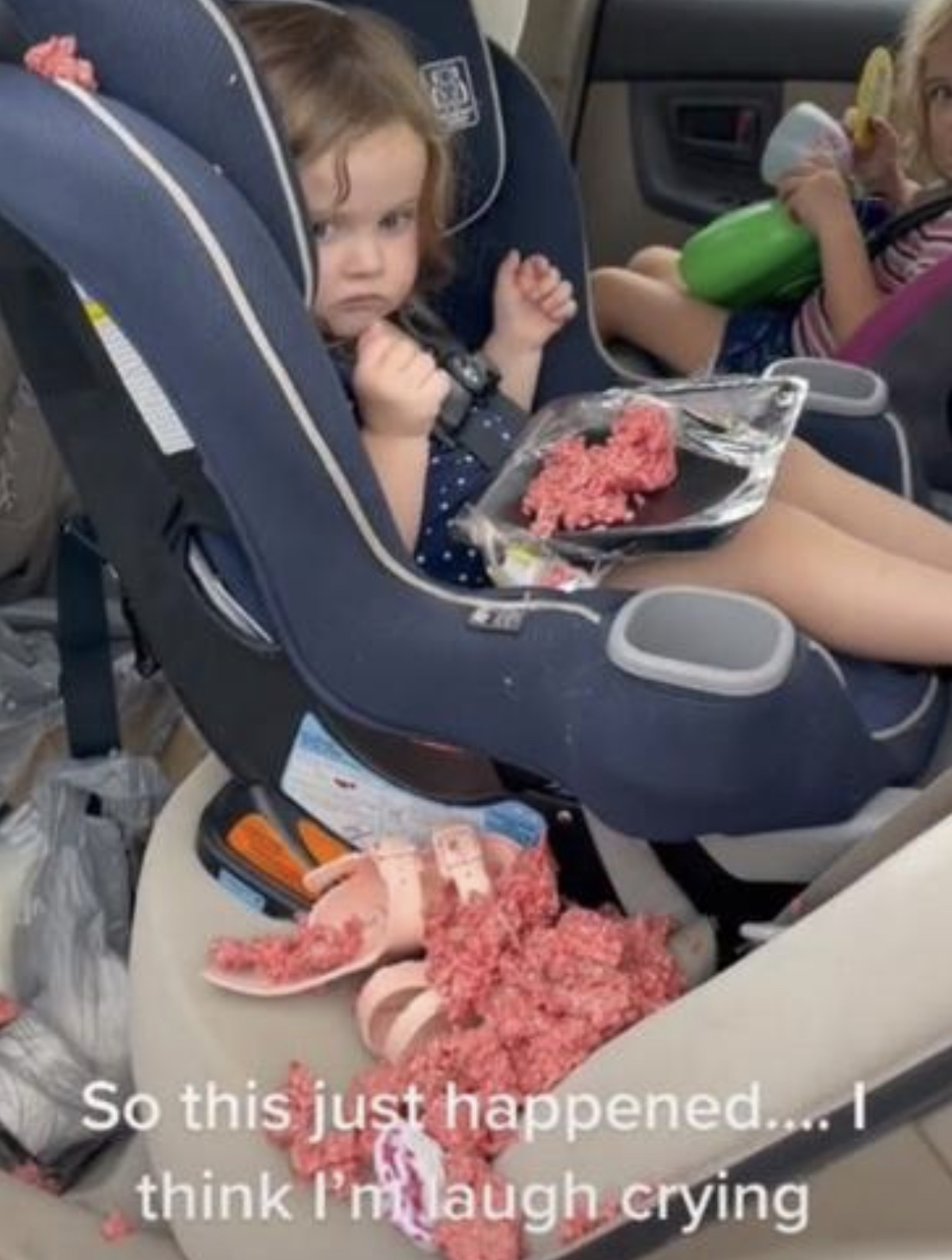 Toddler Versus Mince Meat In The Back Seat Of The Car Is As Gruesome As
