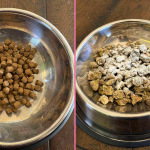 Lyka Pet food review