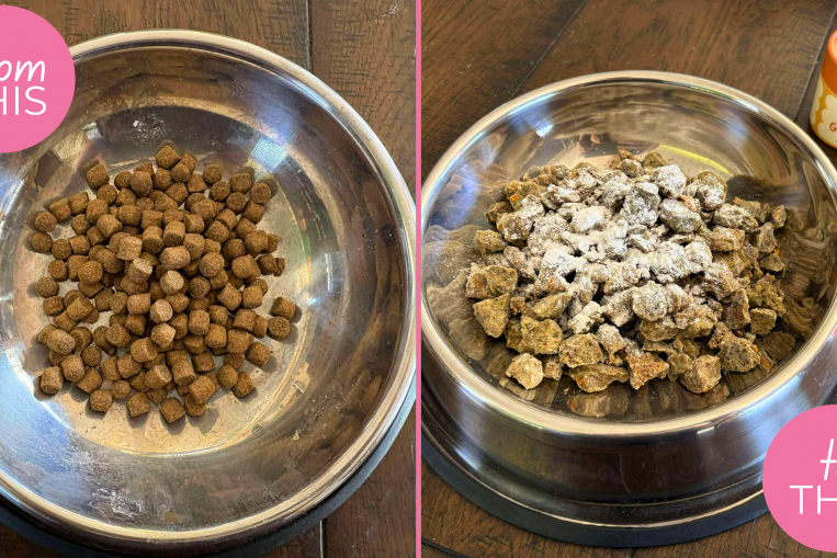 Lyka Pet food review