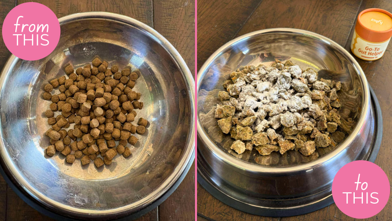 Lyka Pet food review
