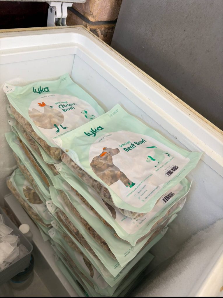 Lyka pet food review 