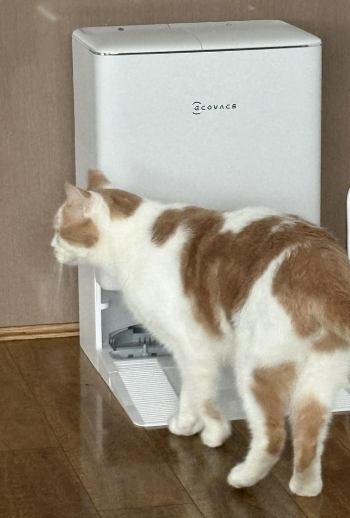 Ecovacs DEEBOT T90 Omni Pro review 