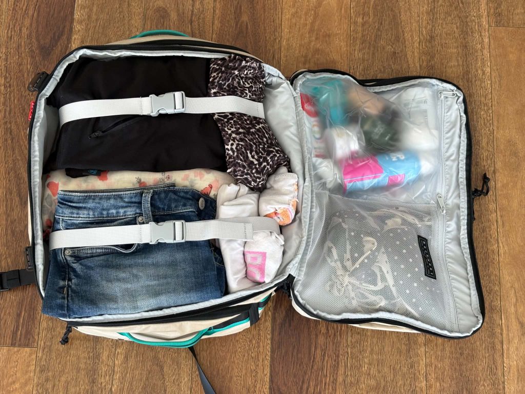 BLAST Pro 40L travel Backpack from Bagsmart review 