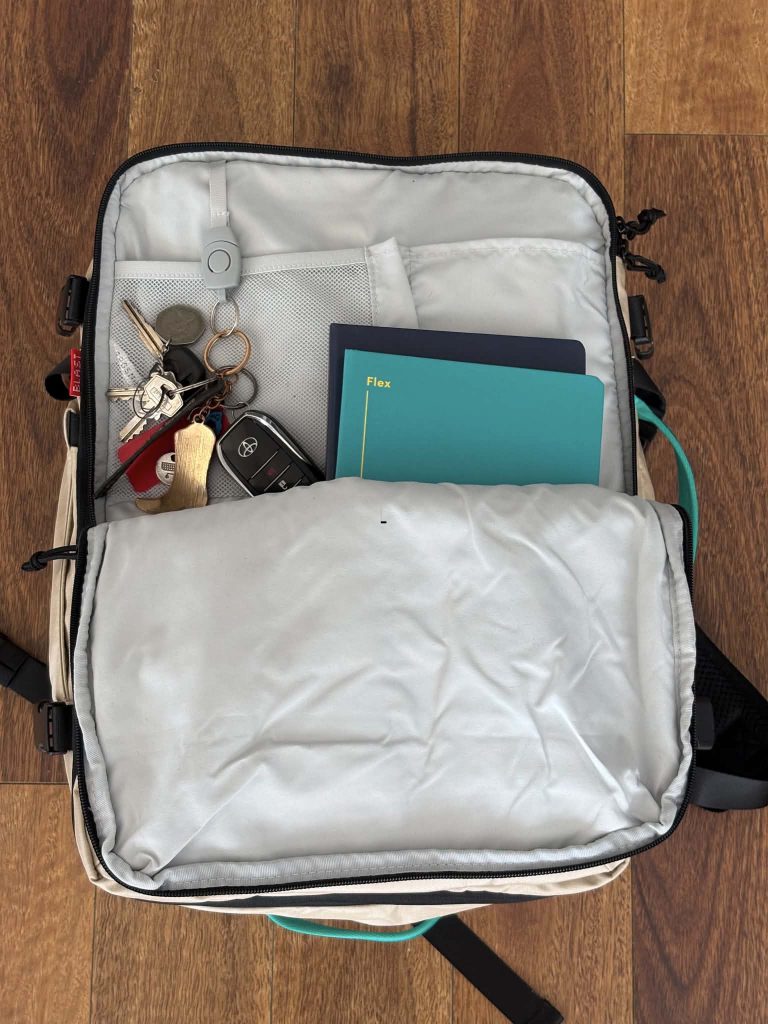 BLAST Pro 40L travel Backpack from Bagsmart review 